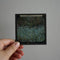Flowers - Antique Photographic Glass Slides