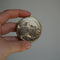 Souvenir of Minehead Powder tin