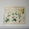 Miscellaneous Plants Educational Prints