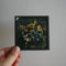 Flowers - Antique Photographic Glass Slides