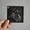 Flowers - Antique Photographic Glass Slides