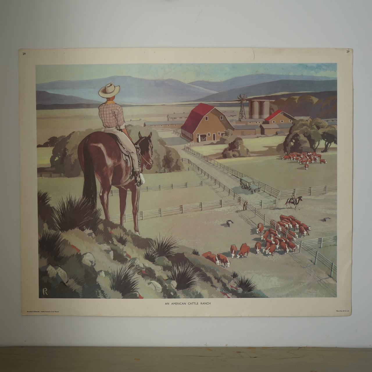 'An American Cattle Ranch' Educational Print