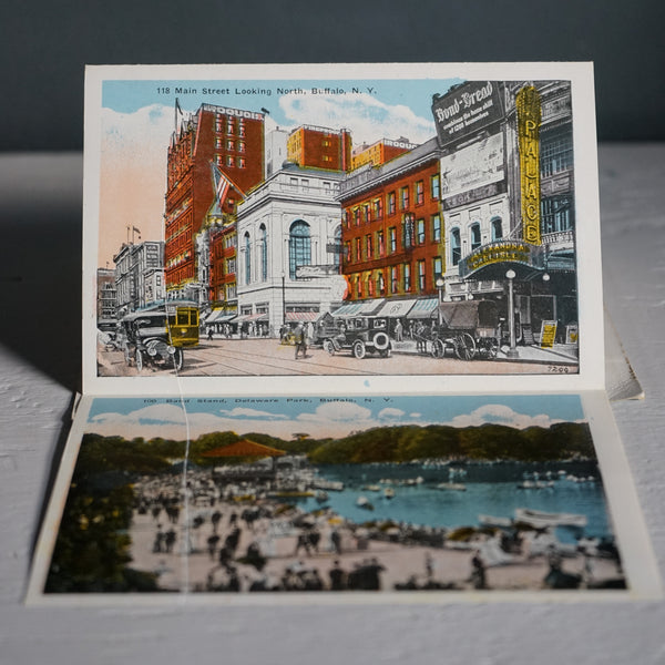 Souvenir from Buffalo N.Y Booklet The Hendersons