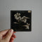 Flowers - Antique Photographic Glass Slides