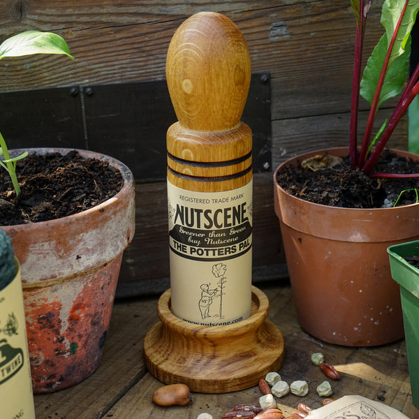 Nutscene