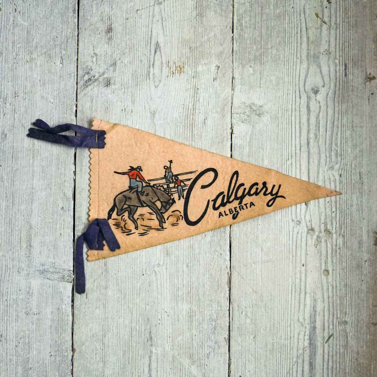 Calgary Alberta Pennant