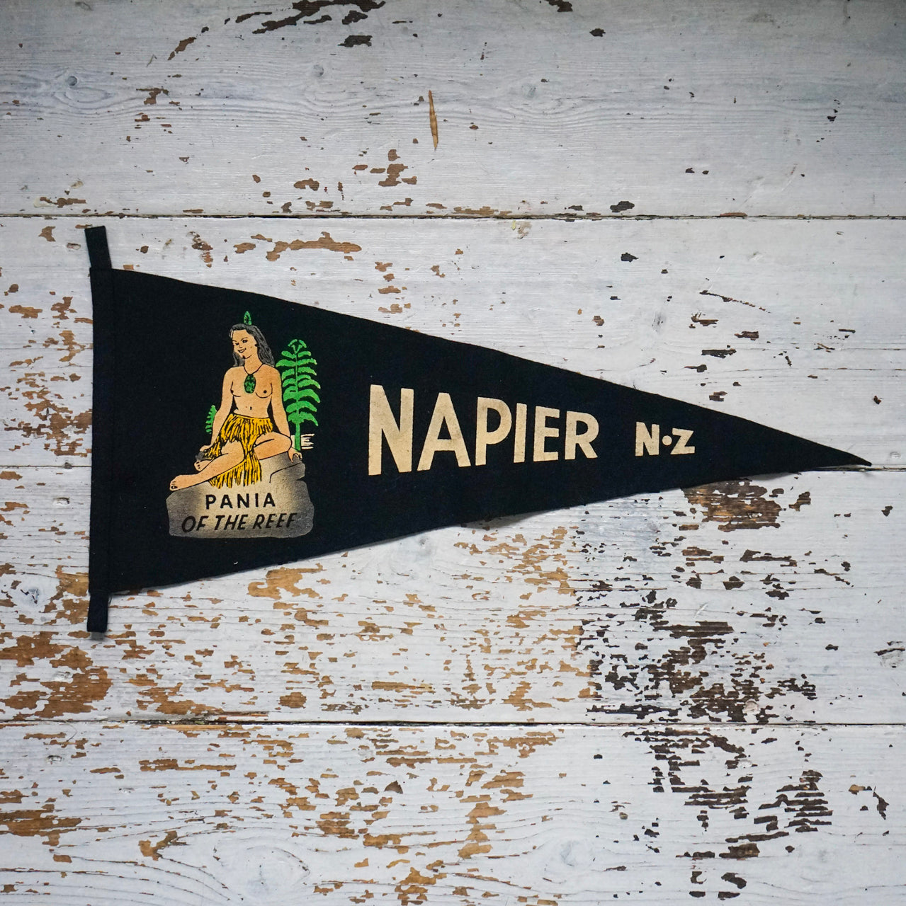 Napier N.Z Pennant