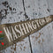 Washington D.C pennant