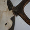 8 Point Antlers on shield