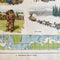 Educational Print - Geographical Regions - no. 78