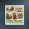 Educational Print - Geographical Regions - no. 80