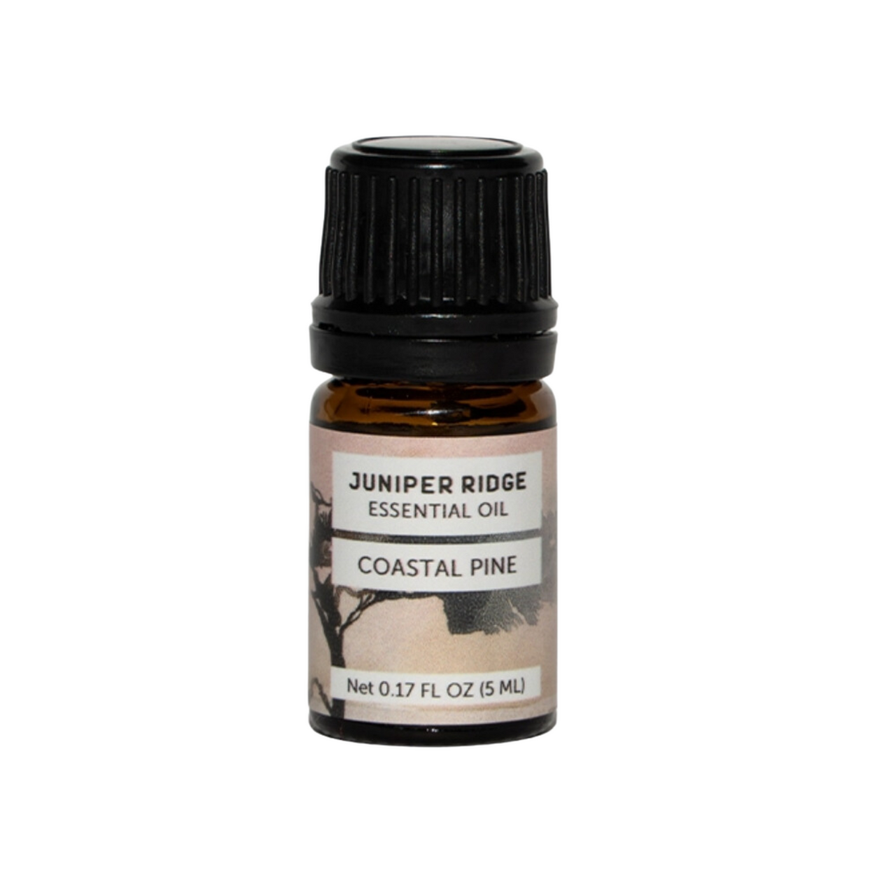 Coastal Pine Essential Oil